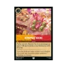 S08 - 039 - Dérapage sucré
