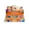 [PRÉCOMMANDE] [PACK] Display + Trove - Contrées Inconnues - Set 12 Lorcana - FR