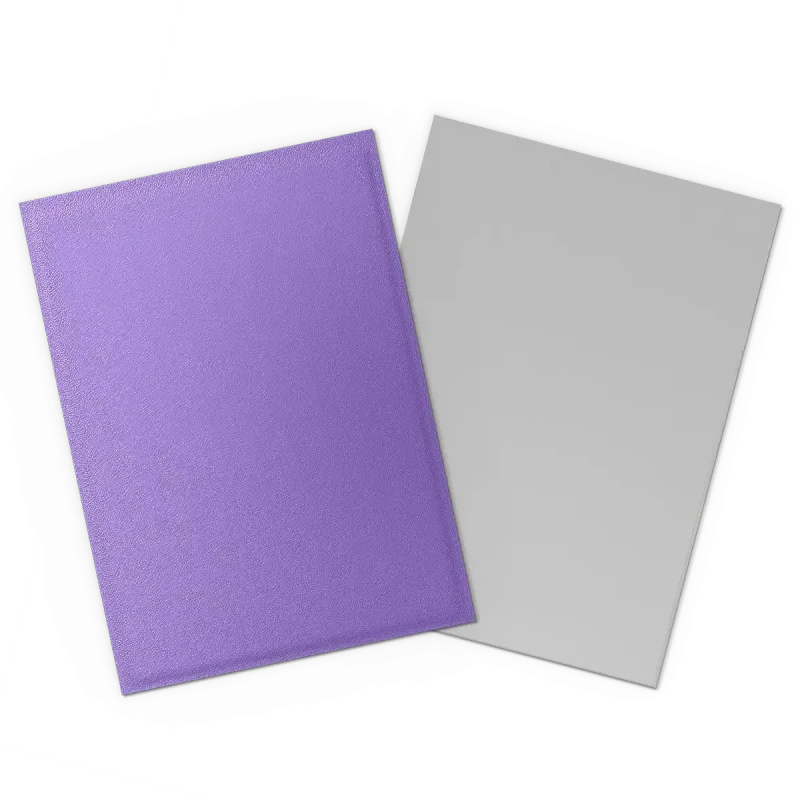 Dragon Shield - Sleeves - Dual Matte x100 Standard - Crimson & Silver