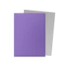 Dragon Shield - Sleeves - Dual Matte x100 Standard - Crimson & Silver