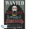 ONE PIECE - Wanted Chopper & Brook - Set de 2 posters '52x38'