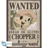 ONE PIECE - Wanted Chopper & Brook - Set de 2 posters '52x38'
