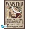 ONE PIECE - Wanted Roger & Barbe Blanche - Set de 2 posters '52x38'