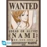 ONE PIECE - Nami & Robin - Set de 2 posters '52x38'