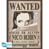 ONE PIECE - Nami & Robin - Set de 2 posters '52x38'